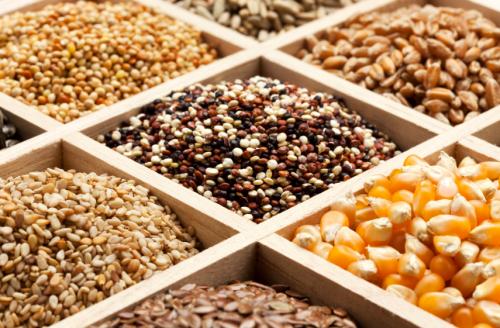 В январе из Приморского края экспортировано более 42 тысяч тонн зерна и продуктов его переработки