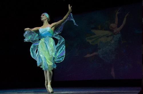 «Великий мир балета Анны Павловой» в Санкт-Петербурге: только один день, только в Эрмитажном театре