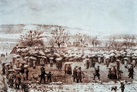 Как эпидемия холеры в Цюрихе в 1867 году привела к победе прямой демократии