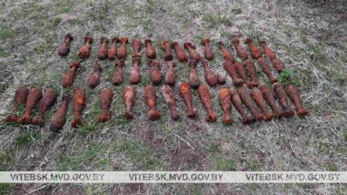 21 апреля при вспашке поля у деревни Смольяны Оршанского района было обнаружено несколько десятков минометных мин.. Фото УВД Витебского облисполкома