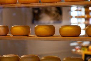 В Солнечногорске будут производить сыр
