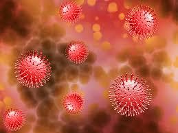 Эксперты: эпидемия коронавируса в Ростовской области пойдет на спад после 28 мая