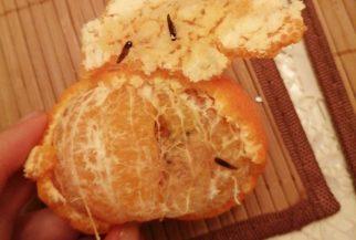 Снова неприятный сюрприз – рязанец купил в супермаркете червивые мандарины