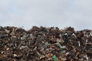Люди, проживающие рядом с мусорными свалками “Ядрово” и “Лесная” в Подмосковье, не будут платить за вывоз мусора